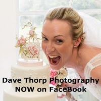 Dave Thorp Photography   Beech Tree Studio 1070733 Image 1